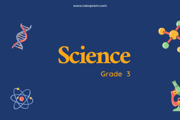 Grade 3 - Science