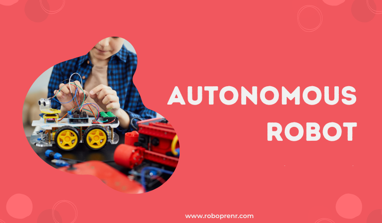 Autonomous Robot Without Kit