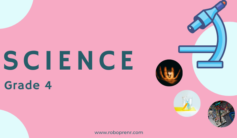 Grade 4 - Science