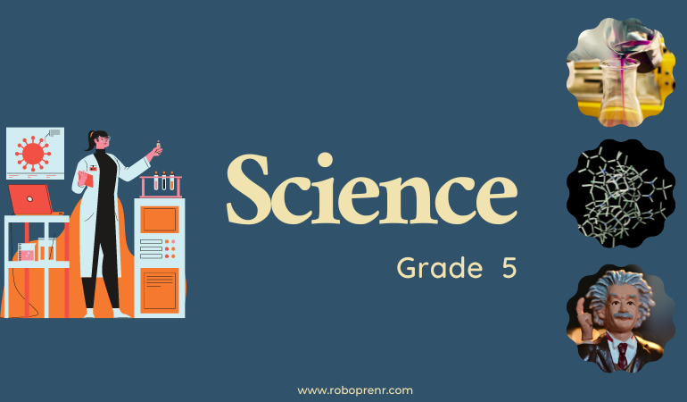 Grade 5 - Science