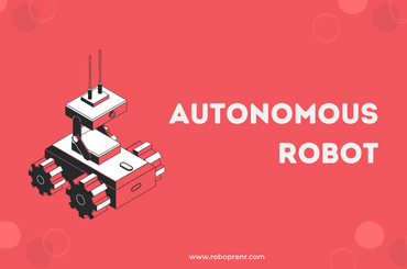 Autonomous Robot